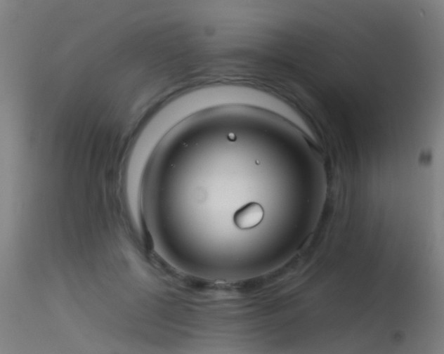 X0000114140552200910151612