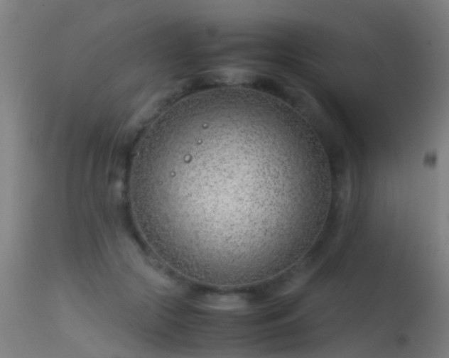 X0000114140553200910151612