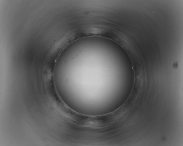 X0000114140555200910151612