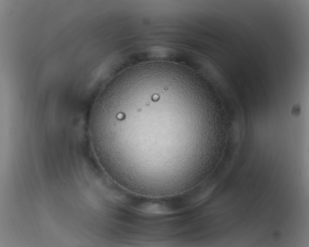 X0000114140557200910151612