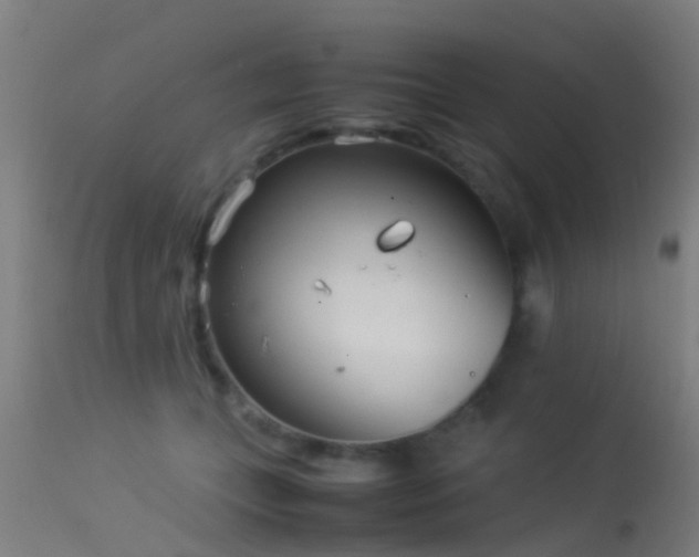 X0000114140559200910151612