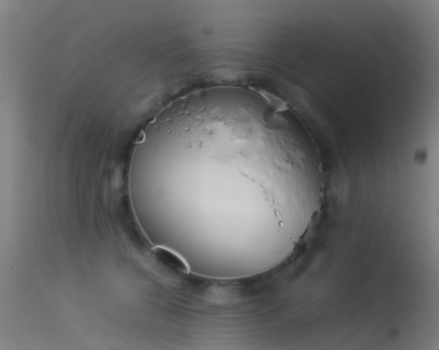 X0000114140560200910151612