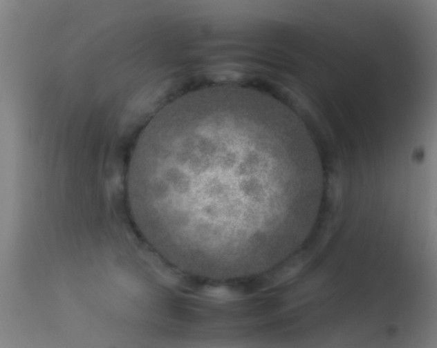 X0000114140561200910151612