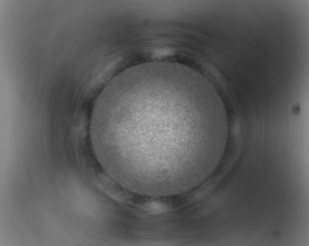 X0000114140565200910151612