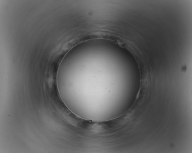 X0000114140566200910151612