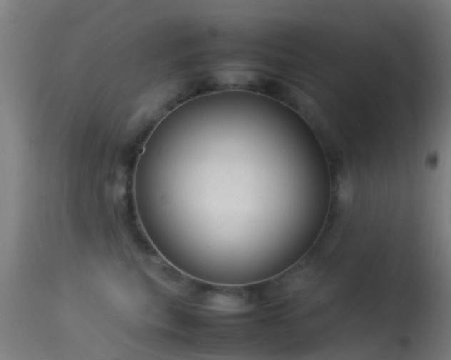 X0000114140567200910151612