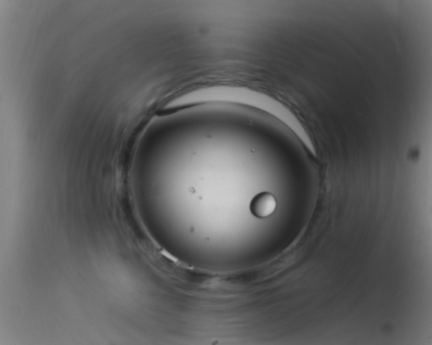 X0000114140568200910151612