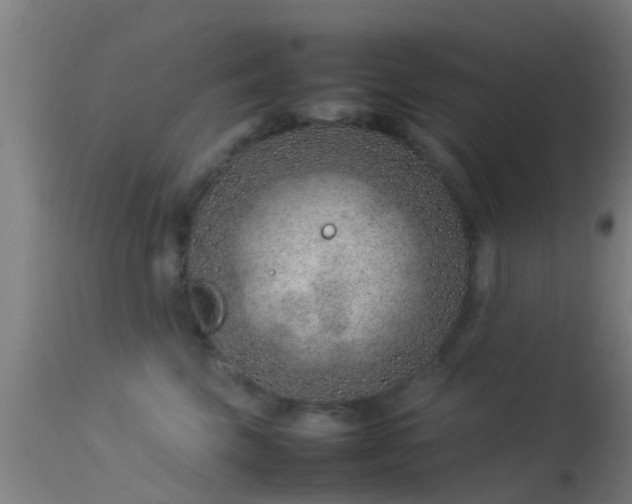 X0000114140569200910151612