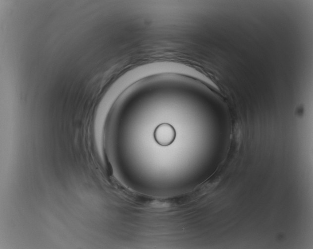 X0000114140570200910151612