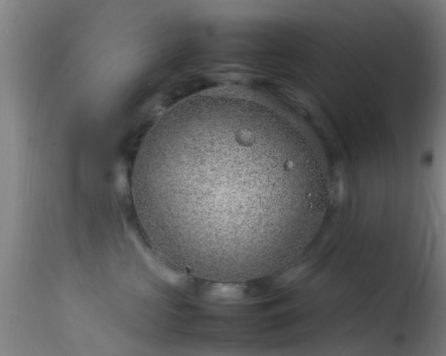 X0000114140573200910151612