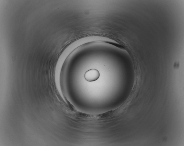 X0000114140576200910151612