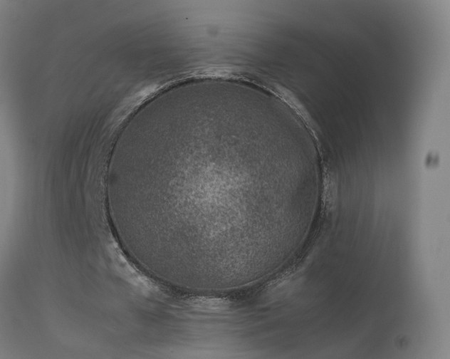 X0000114140577200910151611