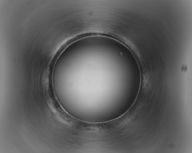 X0000114140580200910151611