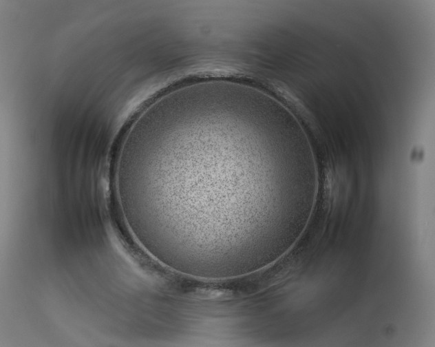 X0000114140582200910151611