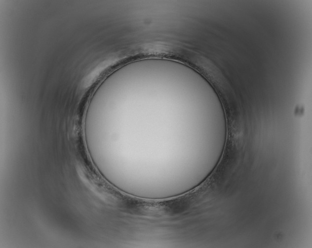 X0000114140583200910151611