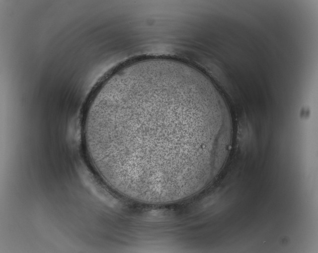 X0000114140584200910151611