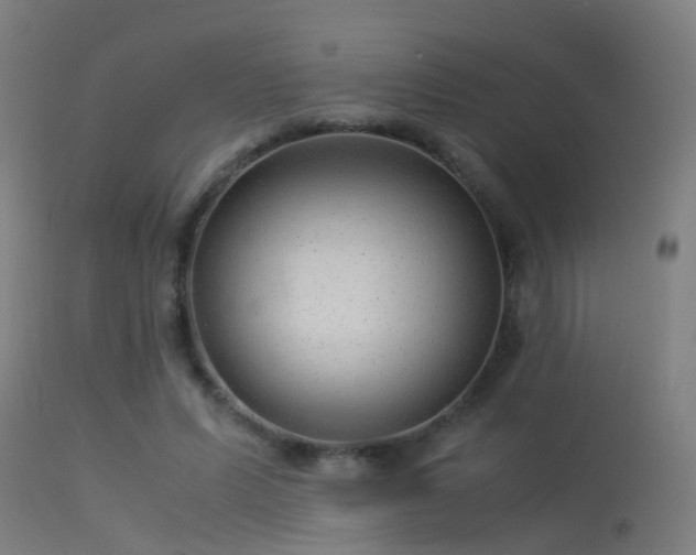 X0000114140591200910151611