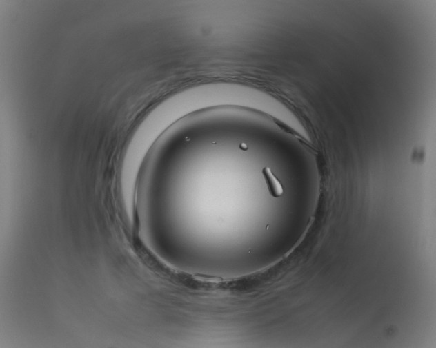 X0000114140593200910151611