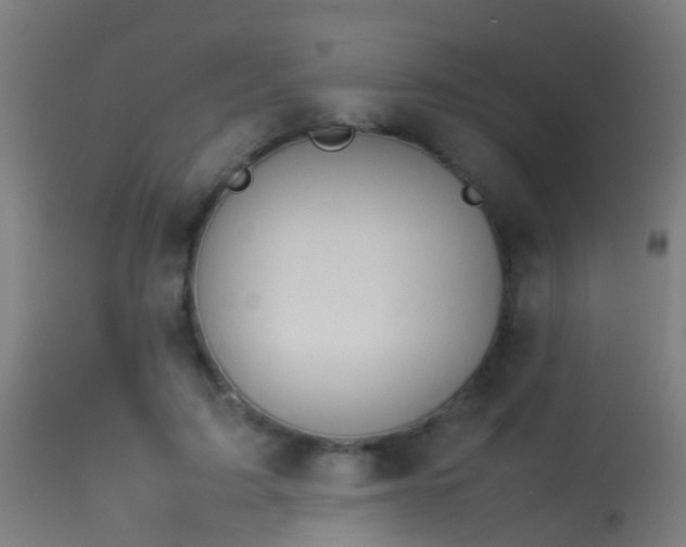 X0000114140595200910151611