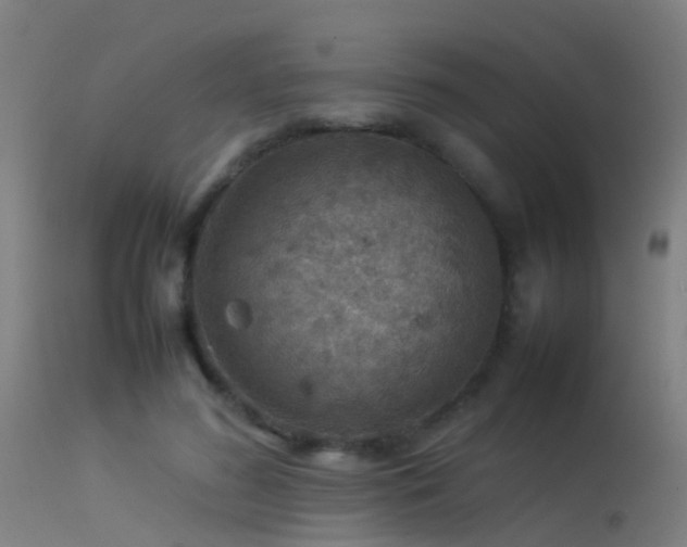 X0000114140596200910151611