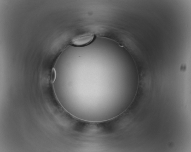 X0000114140597200910151611