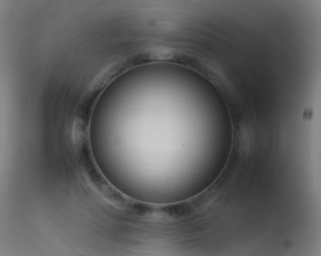 X0000114140598200910151611