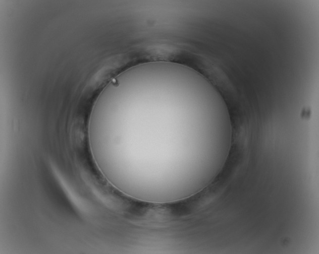 X0000114140599200910151611