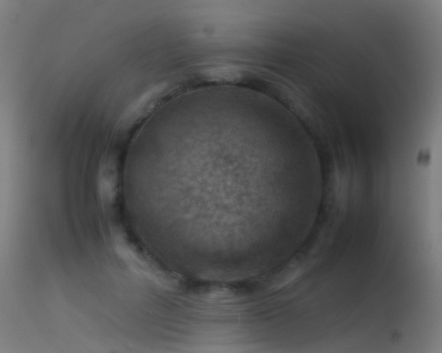 X0000114140600200910151611