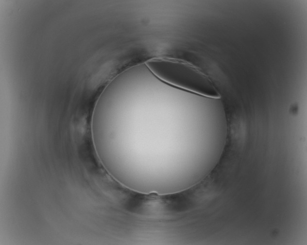 X0000114140611200910151611