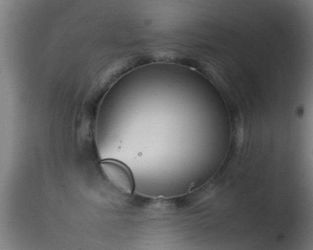 X0000114140619200910151611