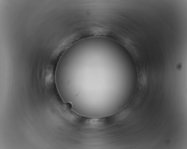 X0000114140622200910151611