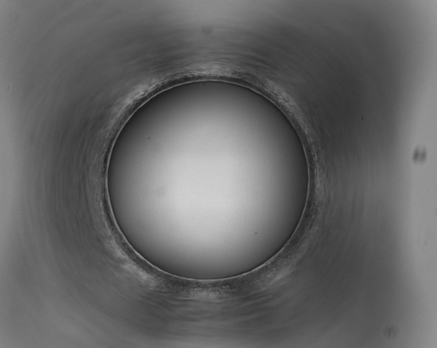 X0000114140625200910151610