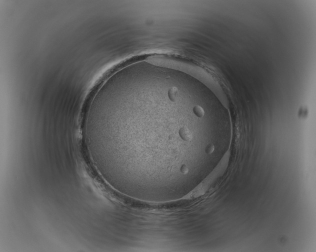 X0000114140628200910151610