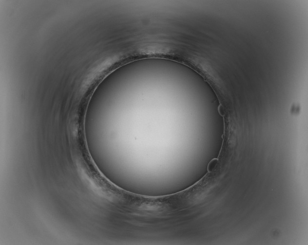 X0000114140631200910151610