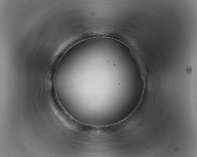 X0000114140634200910151610