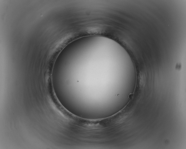 X0000114140637200910151610