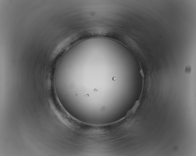 X0000114140638200910151610