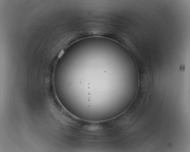 X0000114140639200910151610