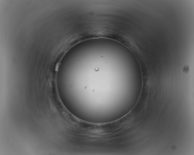 X0000114140643200910151610