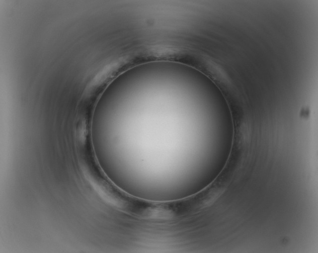 X0000114140644200910151610