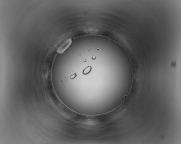 X0000114140645200910151610