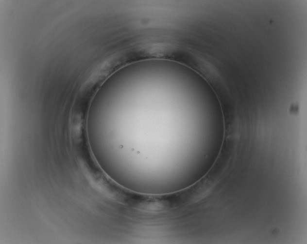 X0000114140646200910151610