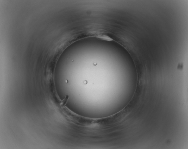 X0000114140647200910151610