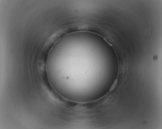 X0000114140648200910151610