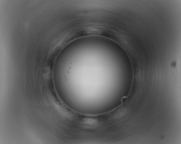 X0000114140649200910151610