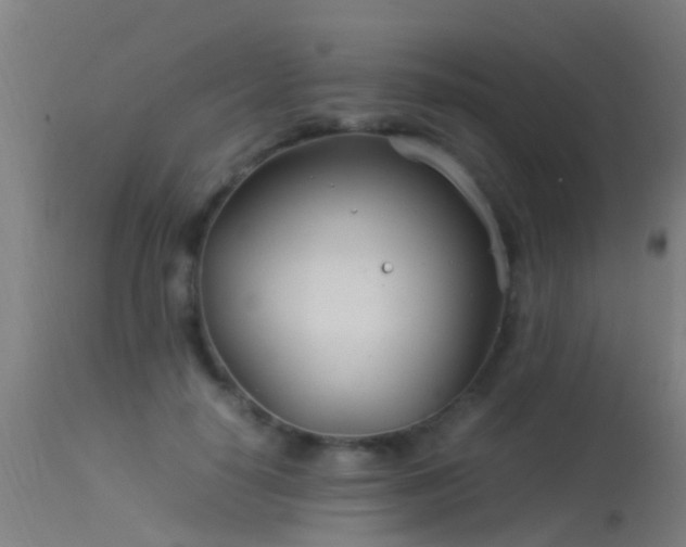 X0000114140650200910151610