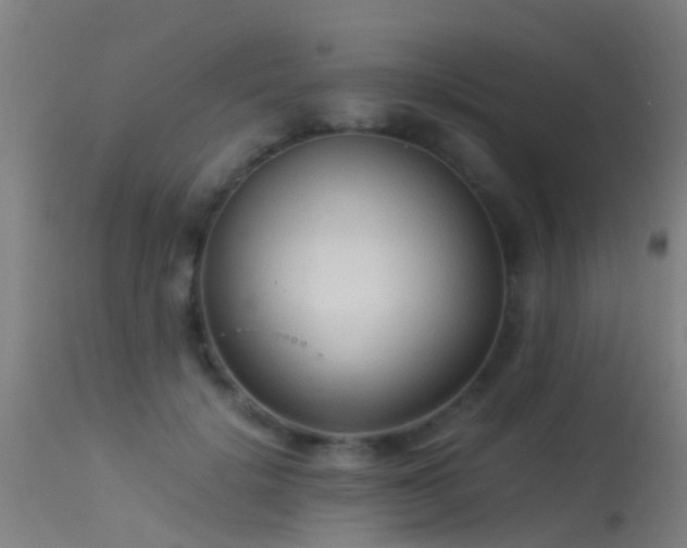 X0000114140652200910151610