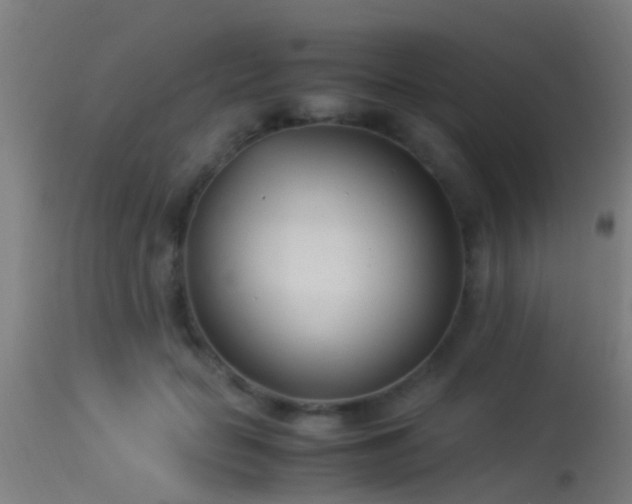 X0000114140653200910151610