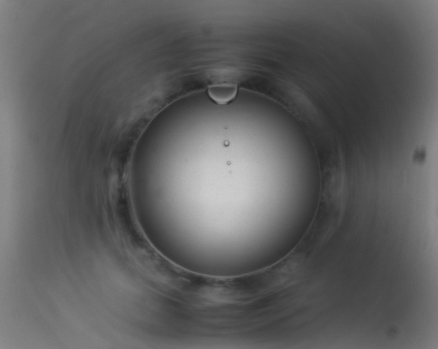 X0000114140655200910151610