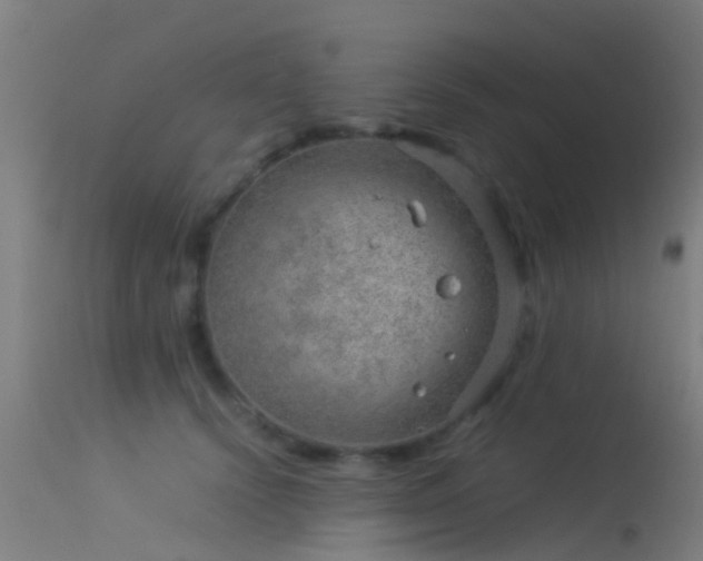 X0000114140656200910151610